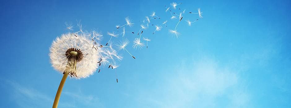 How Life Can Change in a Moment cover